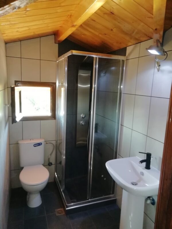 1667666334979 (LOW) 1667666334979 (LOW)